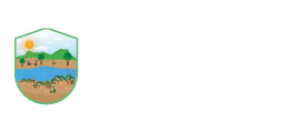 Prefeitura Municipal de Morrinhos